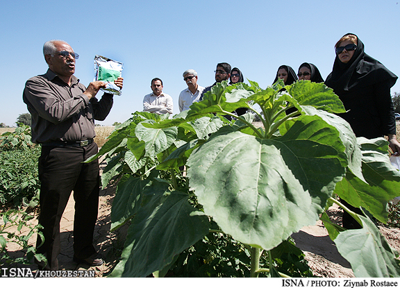 60 درصد اعضای نظام مهندسی کشاورزی خوزستان جویای کاراند